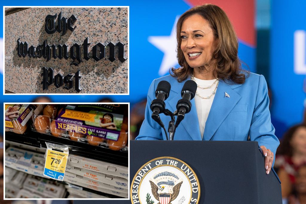 Left-Wing Washington Post Criticizes Harris' Price Strike Plan: 'I Missed the Moment'