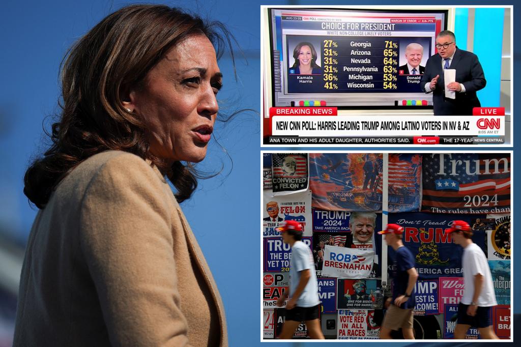 CNN political director warns of 'trouble signs for Harris' as she lags with white male voters in key states