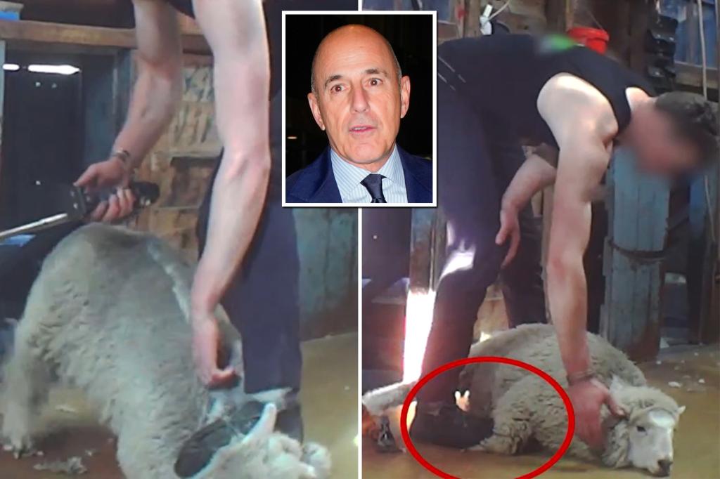 Exclusive | Matt Lauer targeted by PETA for alleged 'abuse', beatings of animals by sheep farmers at his $9m New Zealand shelter in bombshell finds