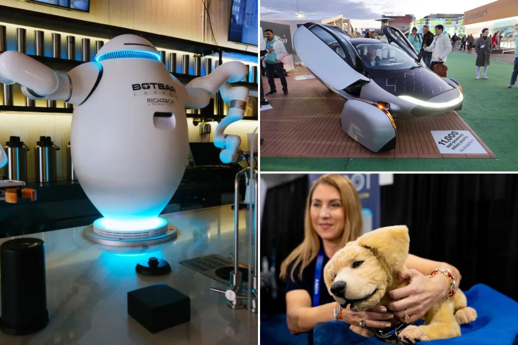 CES 2025: Robot bartenders, flying cars, automatic cats and dogs headline the tech fest