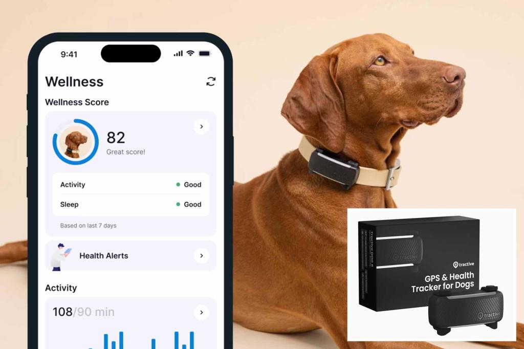 Why does your dog bark? The new gadget at CES 2025 can finally tell you