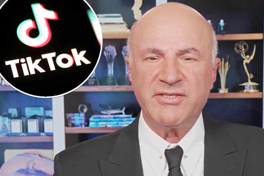 'Make TikTok great again': Kevin O'Leary explains his plan to save the social media platform