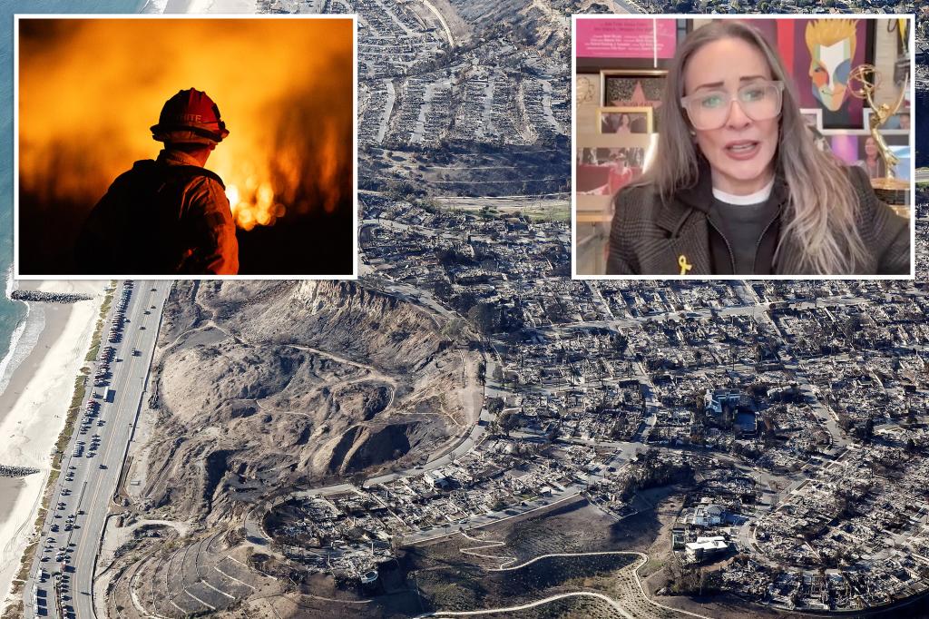 'Everybody Loves Raymond' star Patricia Heaton points out the 'harsh lesson' deadly LA fires are teaching the far left in Hollywood.