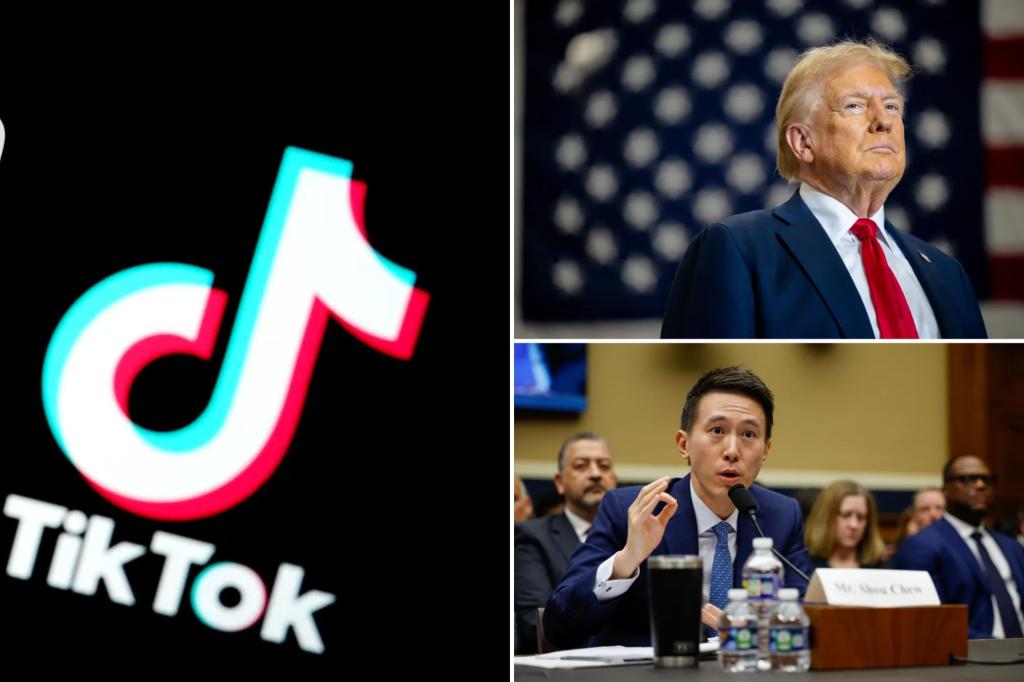 TikTok's brief shutdown was called a "deliberate PR stunt" to create a "sense of panic"