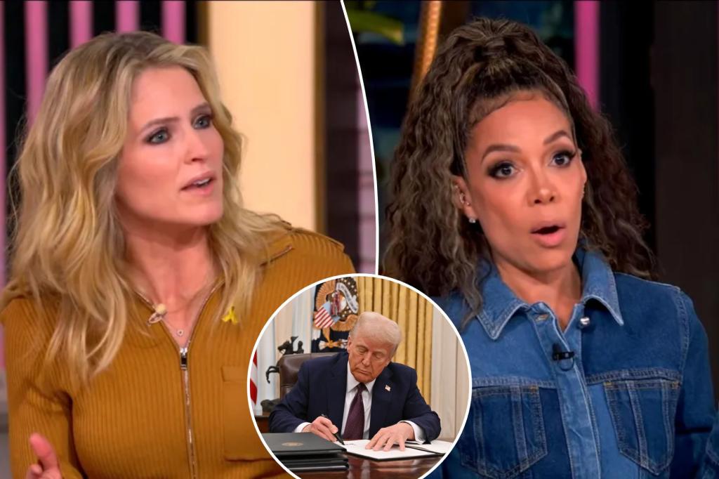 'The View' co-host Sara Haines slams Sunny Host and Ana Navarro as they rage that Trump's DEI policies are helping racists: 'Money bureaucracy is bad'