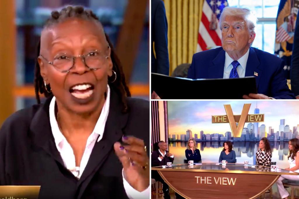 Whoopi Goldberg clashes with 'View' co-jolysto to chat with Trump's voters